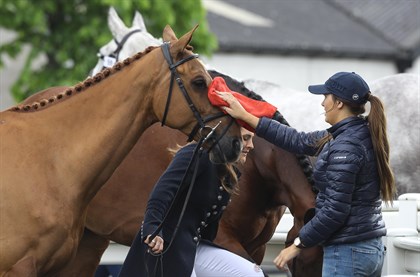 2019 Tattersalls International Horse Trials Trot-Up © Lorraine O'Sullivan