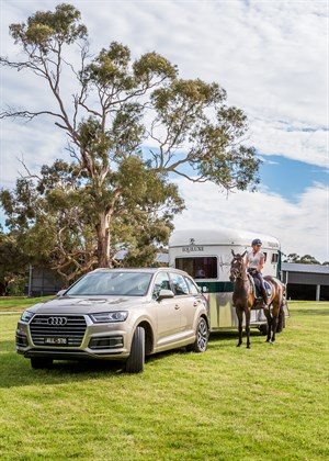 Audi Zagame 2