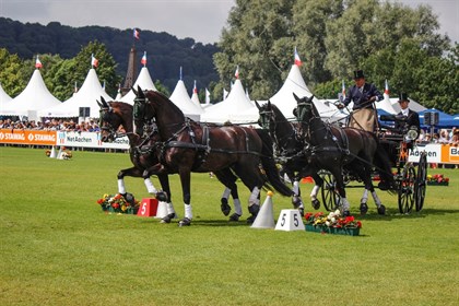 Boyd Exell through the cones with his team.