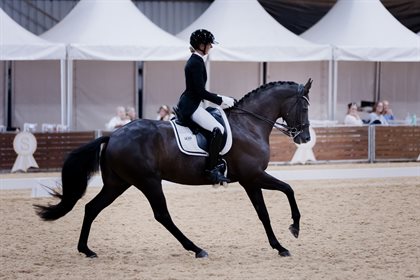 Caitlin Scott and Furstenglanz, round one winners of the 7YO Young Horse Championship on Thursday. Image: Equisoul Photography
