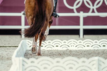 Oliver Townend and Ballaghmor Class day 1 Tokyo © FEI/Christophe Taniere)