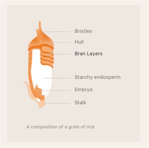 CopRice rice bran
