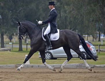 David McKinnon & HV Her Highness showing superb straightness and balance © Franz and Toni Venhaus