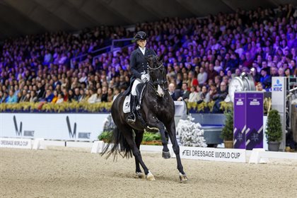 Rhys Williams (IRL) riding K-Little Hero D’18 © FEI/Dirk Caremans