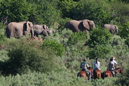 EQ Journeys - Botswana.