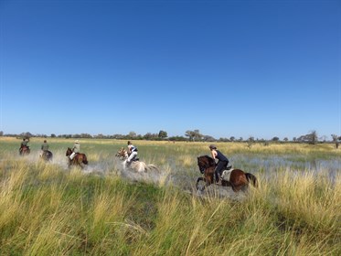EQ Journeys - Botswana.