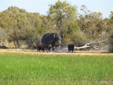 EQ Journeys - Botswana.