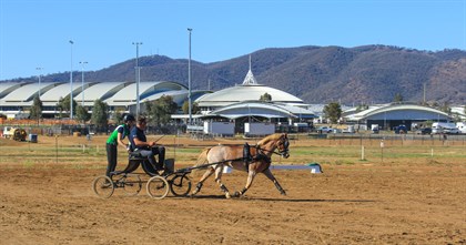 Brook Dobbin and Carrado MVNZ finished in eighth place - © Adele Severs/EQ Life