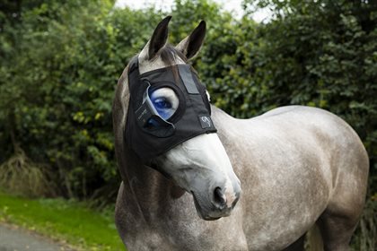 Equilume Pro - BM230104