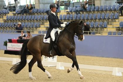 Estupendo and David McKinnon won the Inter B with 73.379%. Image: Roger Fitzhardinge