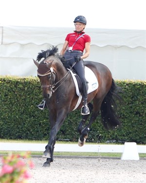 Franziskus gives Ingrid Klimke a few uncomfortable steps in training.
