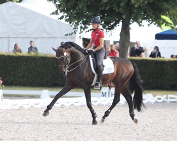Franziskus is better behaved for Ingrid Klimke a few minutes later!