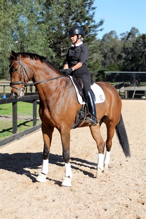 Further steps, and the horse rotates around the relatively immobile inside foreleg. © Roger Fitzhardinge