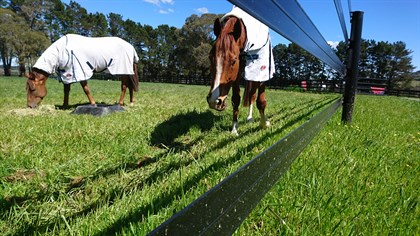 Horserail