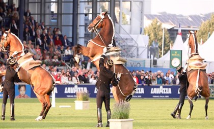 Horses rear for the crowd