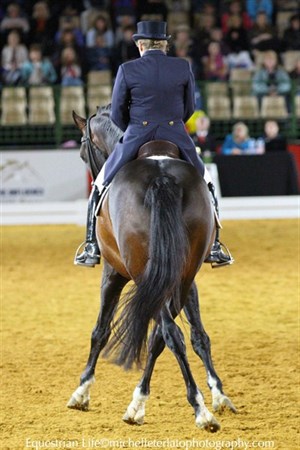 Kerry Mack riding Mayfield Pzazz in the half pass. © Michelle Terlato