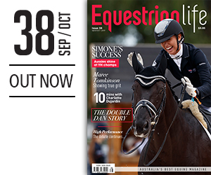 Issue 38