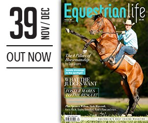 Issue 39 medium ad