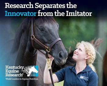KER research horse