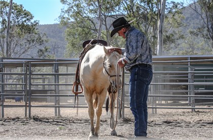 Ken Faulkner working with two year old Lace on the ground. © Kathy Stewart