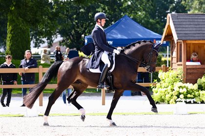 William Matthew contested the Grand Prix Special with young Grand Prix horse Freischütz 5. Image: LL Foto.