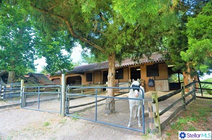 Luxury equestrian estate. © WHEATLEY REALTY GROUP