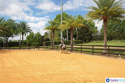 Luxury equestrian estate. © WHEATLEY REALTY GROUP
