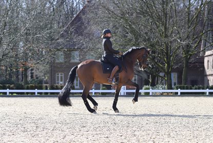 Lyndal Oatley and Elvive training at home.