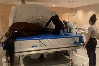 MRI