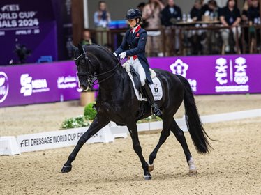 Bram Chardon won individual and team gold at the FEI European Four-in-Hand Driving Championships. Image: FEI/Martin Dokoupil