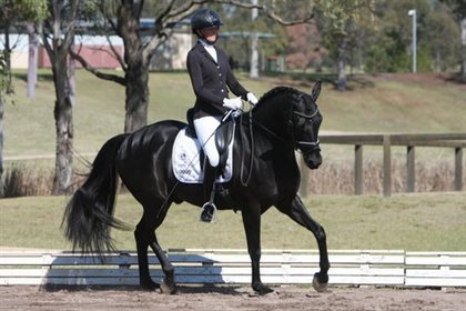 Megan Bryant and Dankesohn MBE, NSW Open Novice Champion and Open Elementary Champion. Image: Roger Fitzhardinge