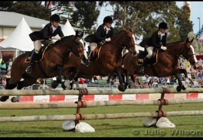 Punch was part of the winning Trio Team at the Royal Melbourne Show in 2012. © Julie Wilson