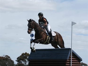 Rawnaq is a super cross country horse. Image: Emily Potter.