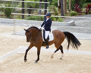 Riding the corners is important in a dressage test. © Roger Fitzhardinge
