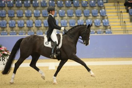 Robbie McKinnon and Hollands Bend Rococco, third in the Inter I with 70.681%. Image: Roger Fitzhardinge
