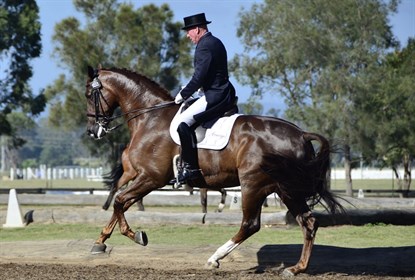 The canter, showing balance, power and confidence - © Roger Fitzhardinge