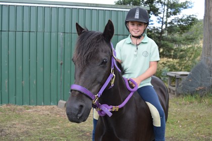 The ideal first pony. © Chloe Chadwick