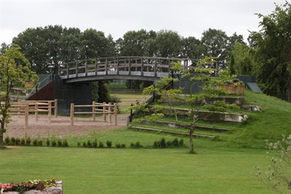 The obstacles at Boyd Exell's.