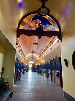 The stunning Stal Tops stables.