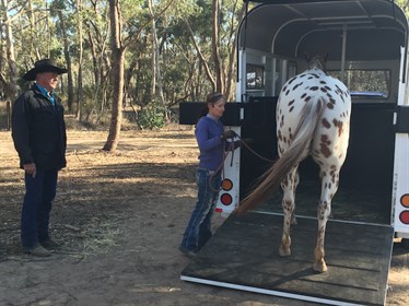 Trailer loading - Ken Faulkner 1 © Ken and Kathy Faulkner