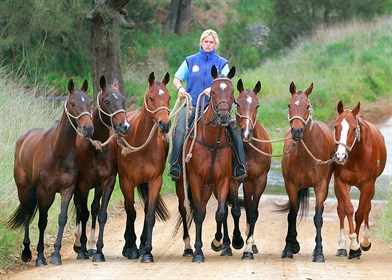 Training polo ponies at JM Polo - Photo Emma Braun & Joe McInally Photography