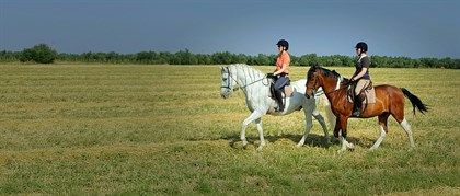 Trekking through picturesque paddocks © Stephanie Abbott