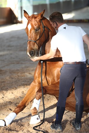 Tristan working with a horse at a recent clinic. © Roger Fitzhardinge
