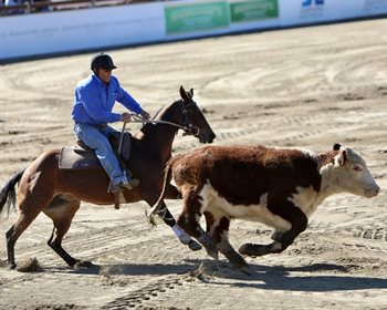Troy Palmer and hells a coming owned by Terry and Ginette Snow in teh final