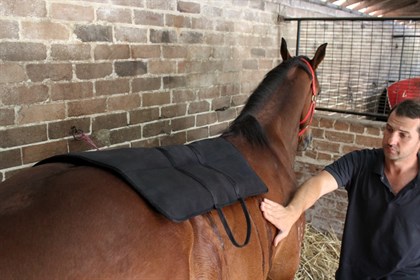 You will be surprised to see how quickly your horse relaxes with the ice on their back © Tom Simpson