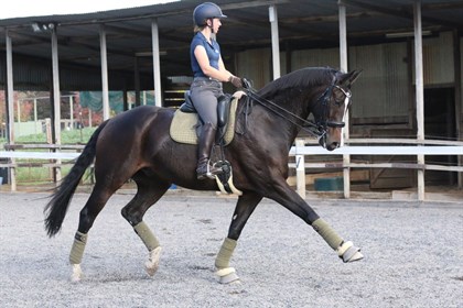 Zoe Vorenas and Neversfelde Kipling