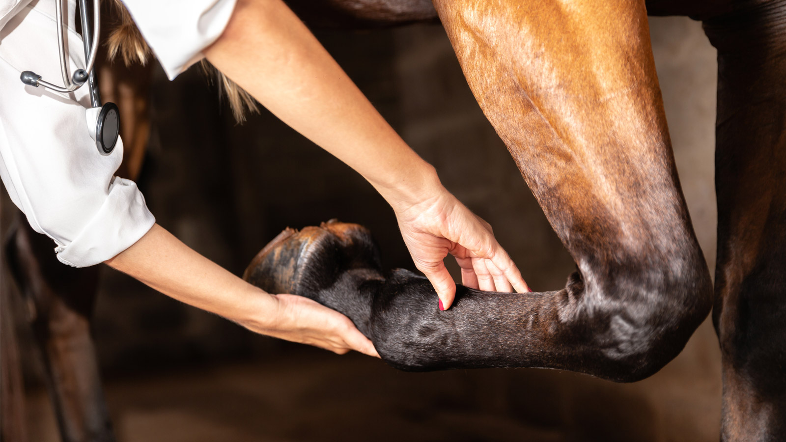 UNDERSTANDING TENDON SHEATH INFLAMMATION