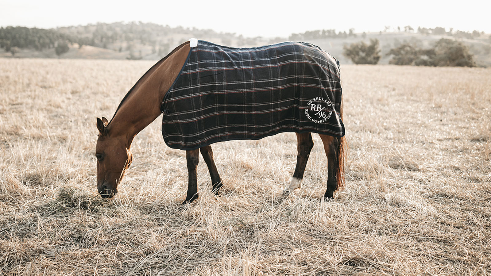 RUG UP FOR WINTER
