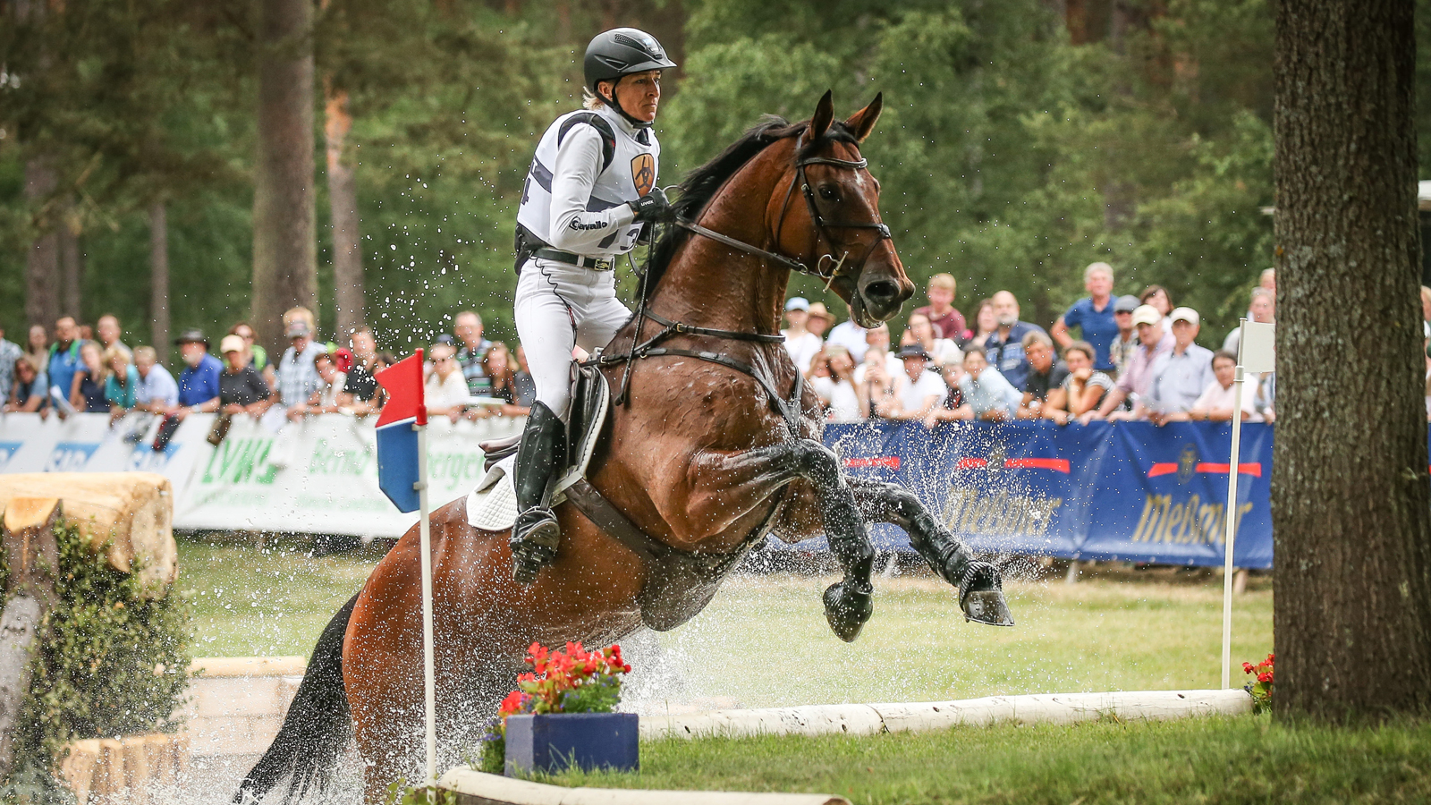WHY HORSES LOVE INGRID KLIMKE
