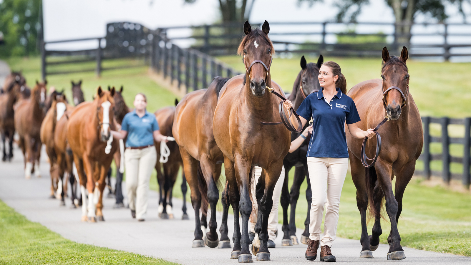 WORLD LEADERS IN EQUINE NUTRITION